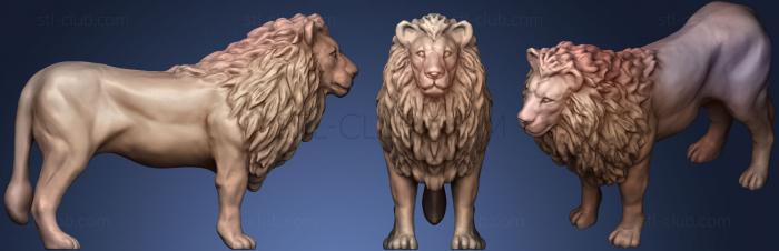 3D model A Male Lion (STL)